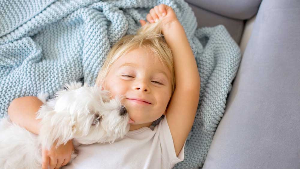 lakástextilt méteráru